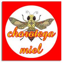 Items of brand CHOROTEGA in SOFTMANIA